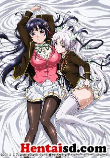 Ojou-sama Yomeiri Kousou!