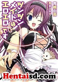 Tsun Tsun Maid wa Ero Ero Desu